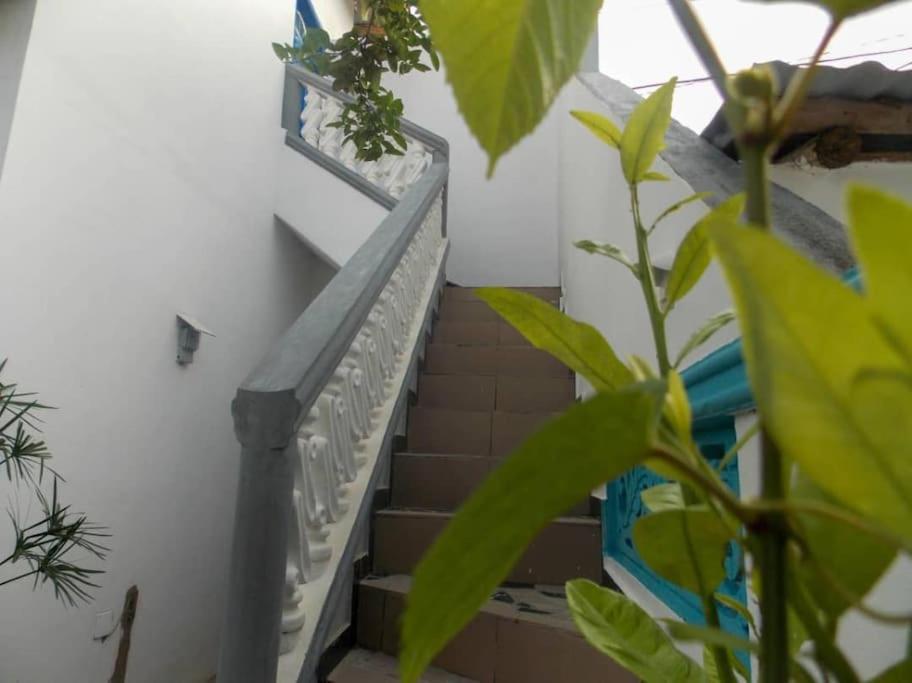 Bel Appartement Avec Petit Balcon Sympa Порто-Ново Екстериор снимка